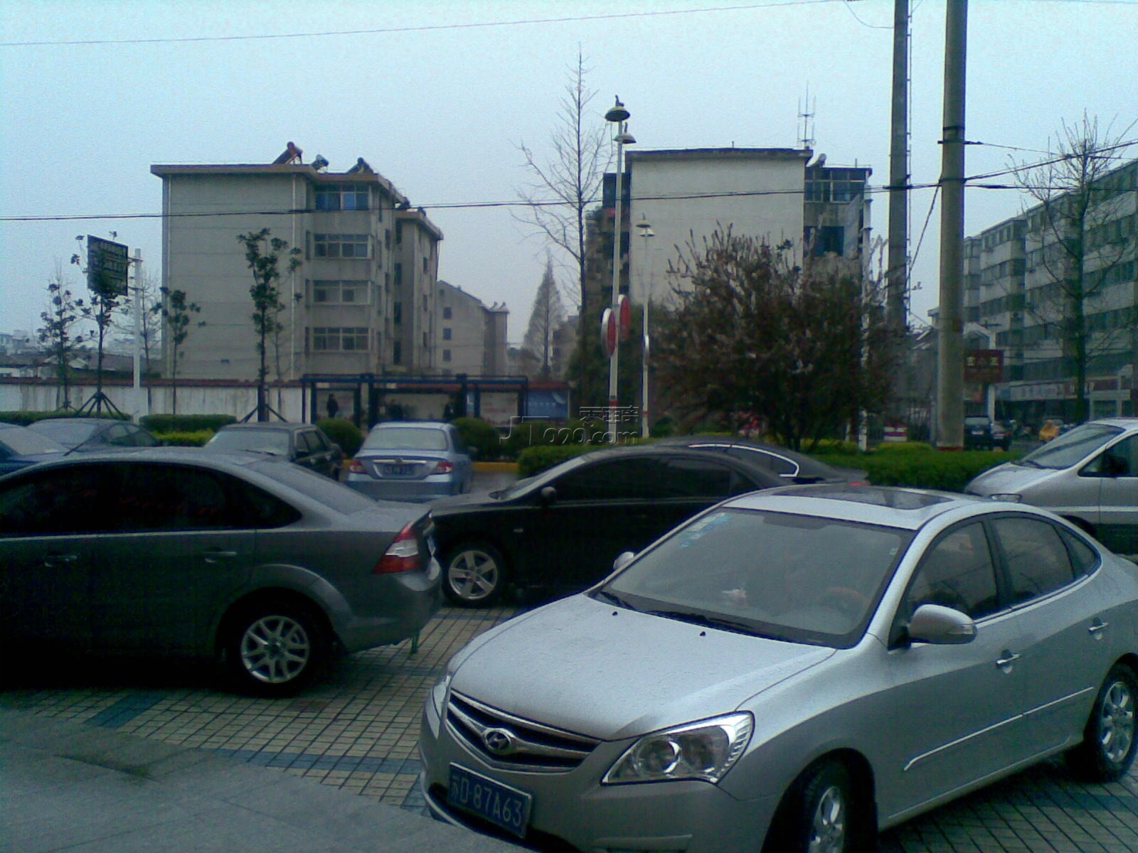 20110406603.jpg