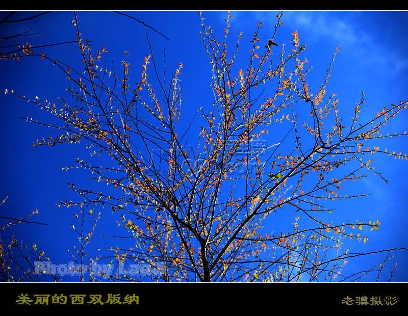 20100315_97218b1a991eca3352admKJSG6lnY22S.jpg