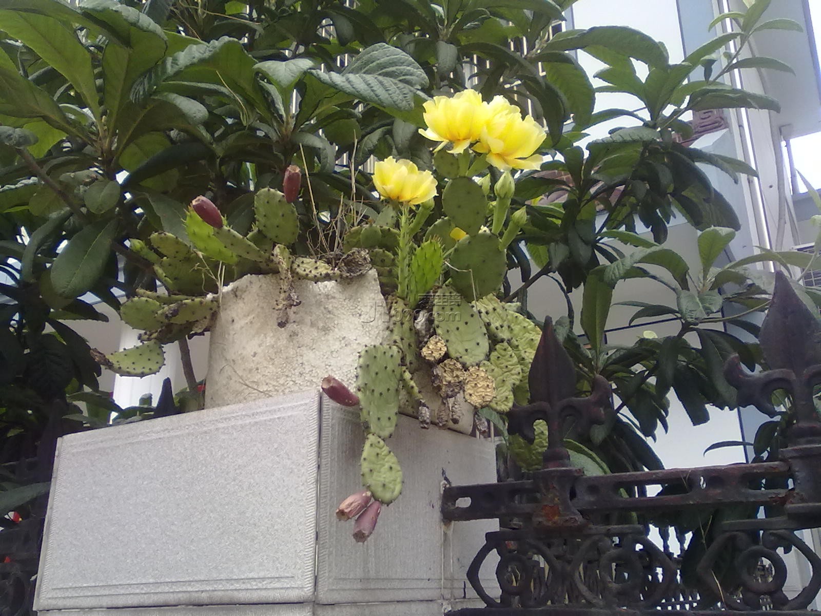 201105271999.jpg