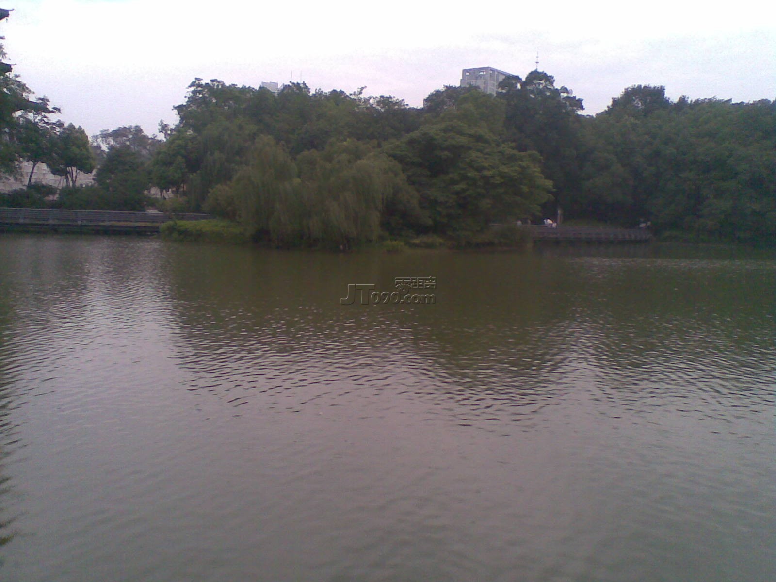 20110712.jpg