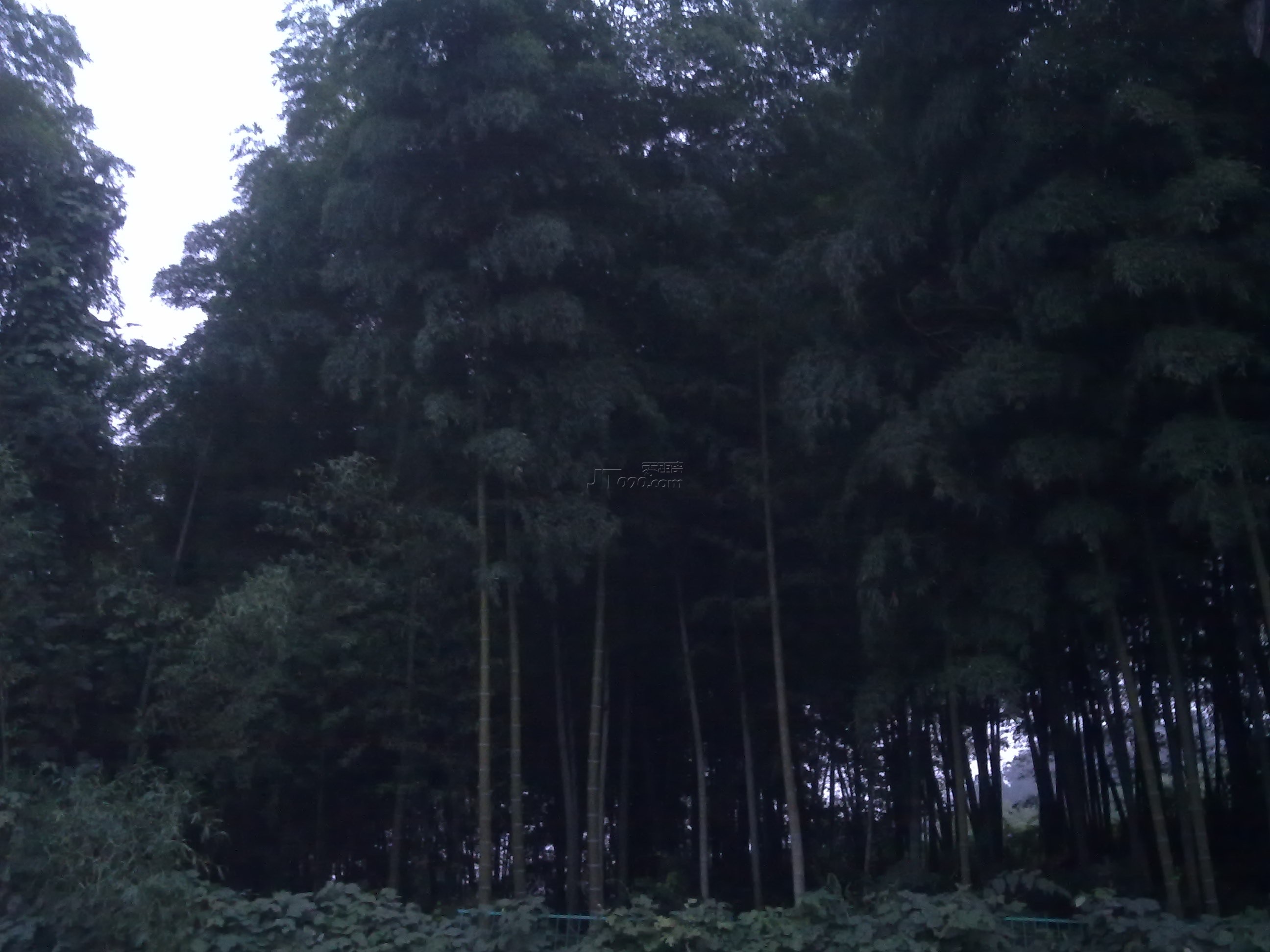 20110917035.jpg