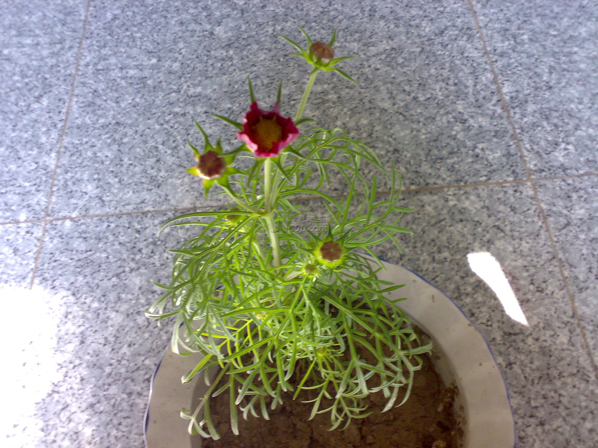 20111019004.jpg